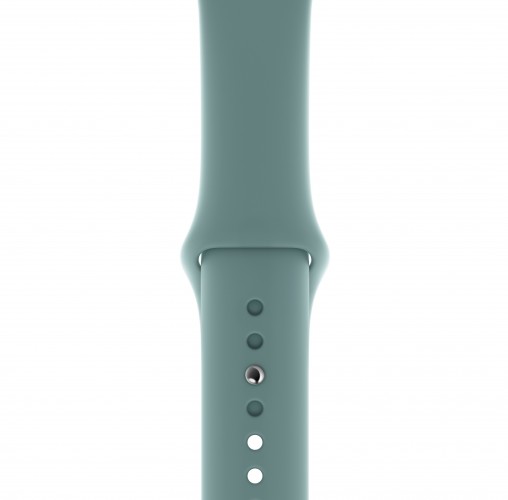 Apple Watch 44mm Cactus Sport Band - Regular