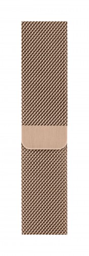 Apple Watch 40mm Gold Milanese Loop