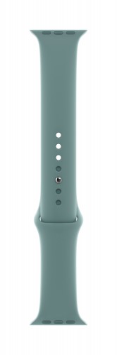 Apple Watch 44mm Cactus Sport Band - Regular