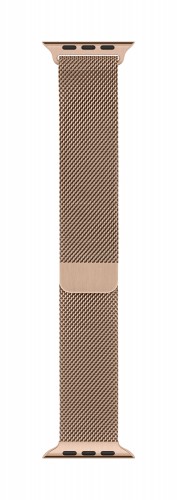 Apple Watch 40mm Gold Milanese Loop