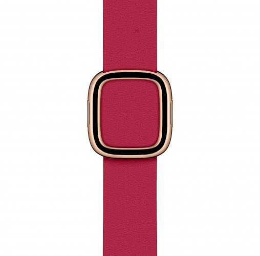 Apple Watch 40mm Raspberry Modern Buckle - Medium