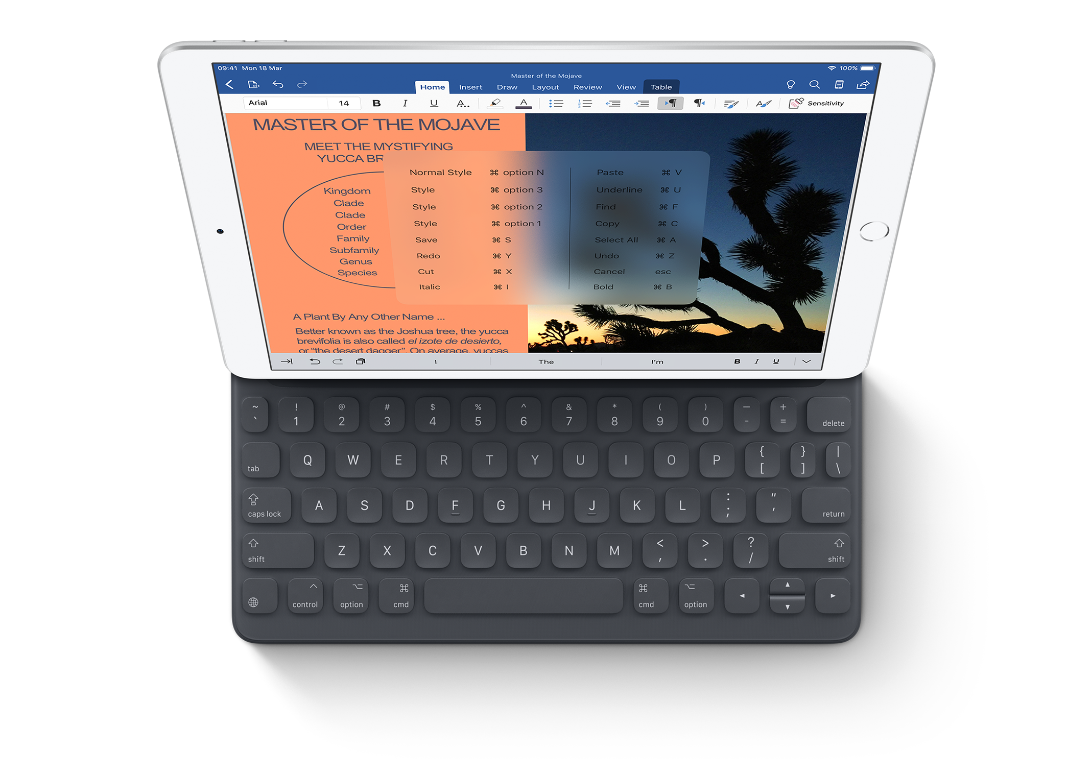 iPad Air
