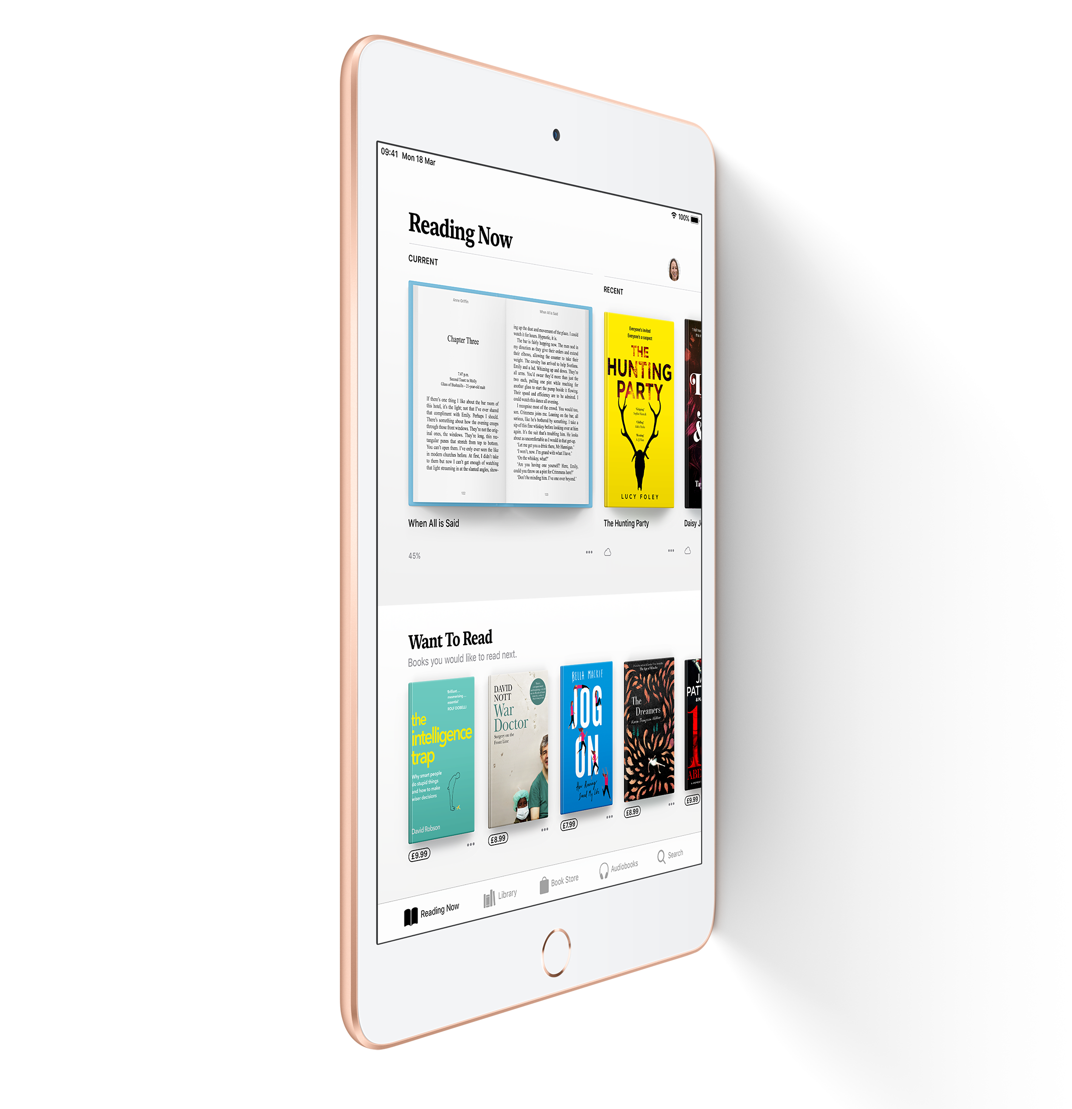 iPad mini